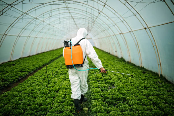 Best Affordable Pest Control Services  in Baileys Crossroads, VA