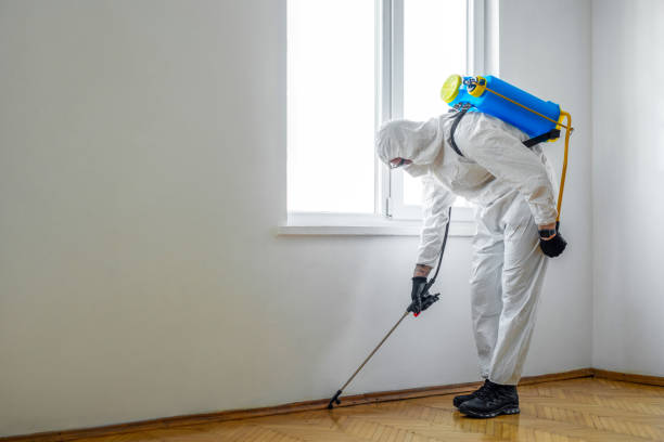 Professional Pest Control in Baileys Crossroads, VA