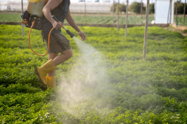 Best Best Pest Control Companies  in Baileys Crossroads, VA