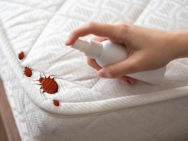  Baileys Crossroads, VA Pest Control Pros