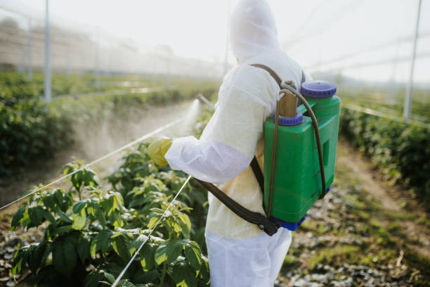 Best Pest Control Near Me  in Baileys Crossroads, VA